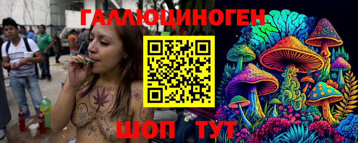 Галлюциногенные грибы GOLDEN TEACHER Кизилюрт
