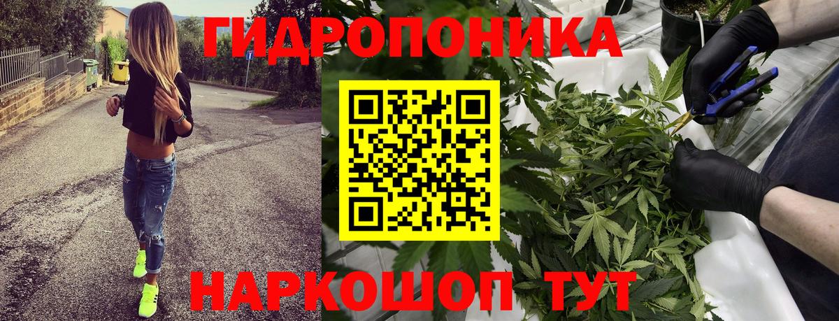Бошки марихуана Ganja  Вход с VPN  МАРИХУАНА Amnesia  МАРИХУАНА индика  Кизилюрт  Бошки Шишки сатива 